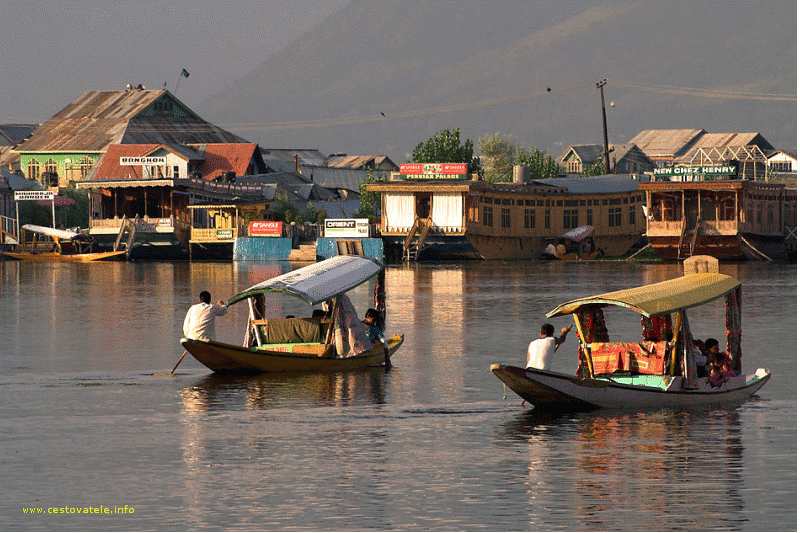 Šikary na jezeře Dal Lake ve Shrinagaru