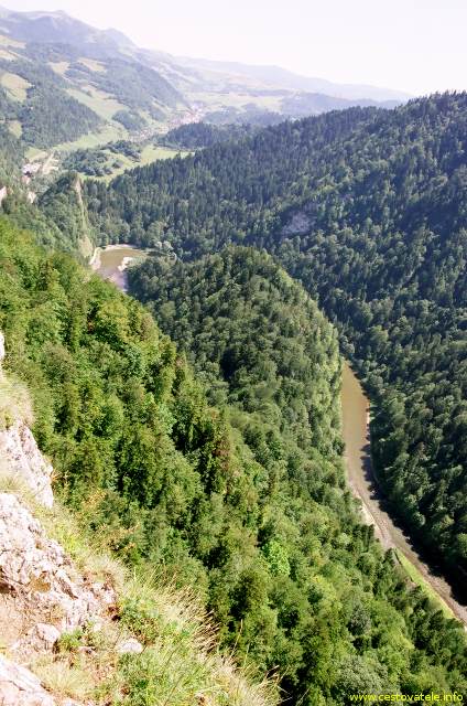 Řeka Dunajec z vrcholu Sokolica v pohoří Pieniny