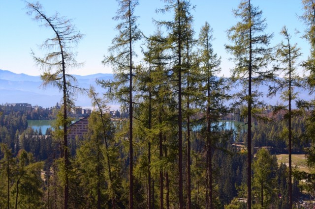 Pohled na Štrbské pleso cestou na Popradské pleso - Vysoké Tatry