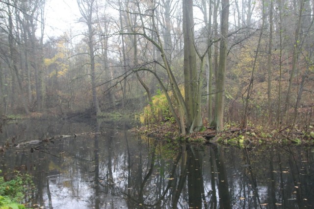 U Kamenného stolu - Vinořský park