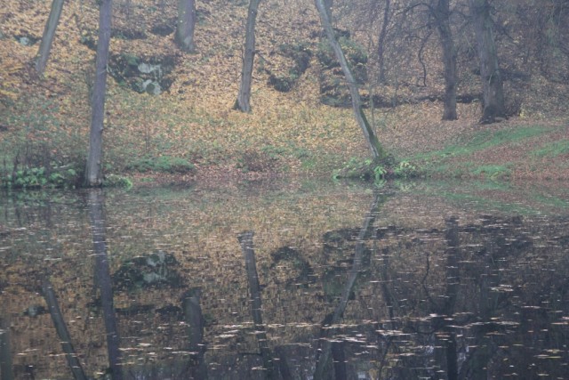 U Kamenného stolu - Vinořský park