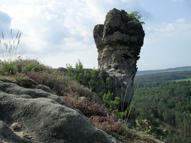 Čáp a Čapská palice