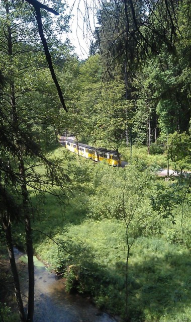 Pohled na Lesní Tramvaj v Křinickém údolí - Saské Švýcarsko