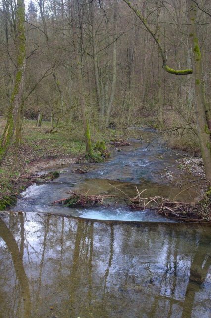 Křtinský potok - Josefovské údolí, Moravský kras.