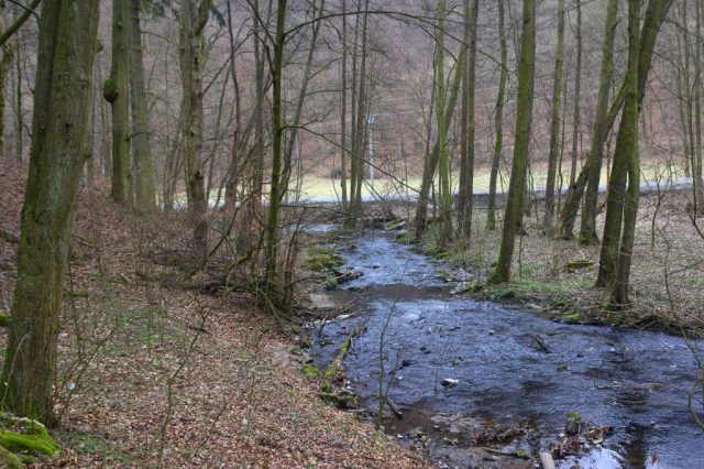 Křtinský potok - Josefovské údolí, Moravský kras