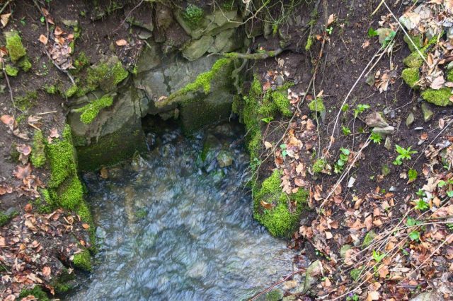 Vývěr křtinského potoka, Křtinské údolí - Moravský kras