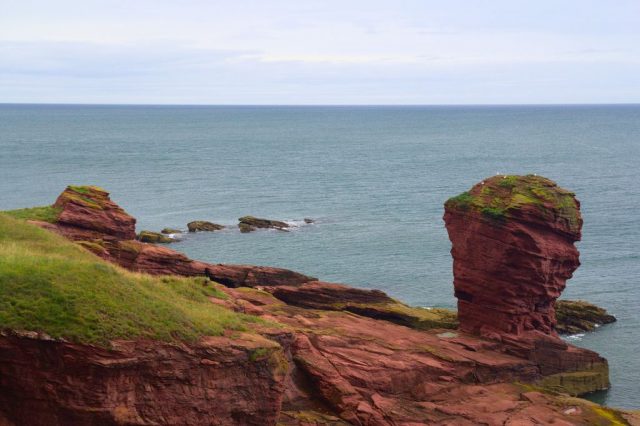 Skalní útvar Deil's heid na útesech Seaton Cliffs severně od Arbroath - Skotsko.