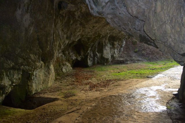 Sloupsko Šošůvské jeskyně, Moravský kras