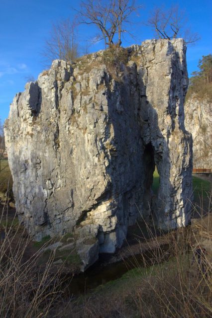 Hřebenáč - Moravský kras