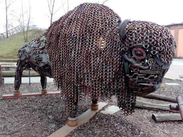 Některé exponáty mají úctyhodné rozměry a váhu, jako třeba tento bizon.