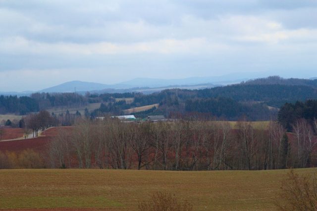 Výhled na Orlické hory z Arboreta v Žampachu