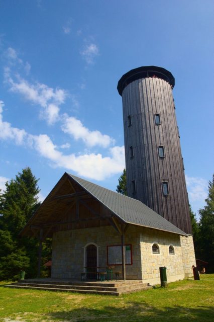 Rozhledna na Borůvkové hoře - Rychlebské hory