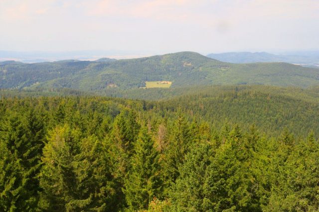 Výhledy z rozhledny na Borůvkové hoře - Rychlebské hory