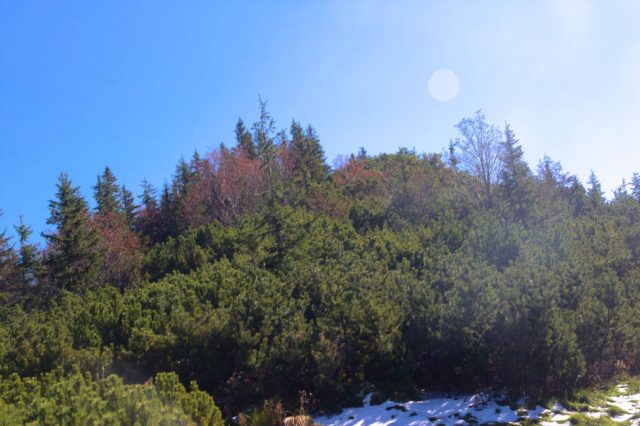 Malá Svišťovka ze Sedla pod Svišťovkou - Vysoké Tatry