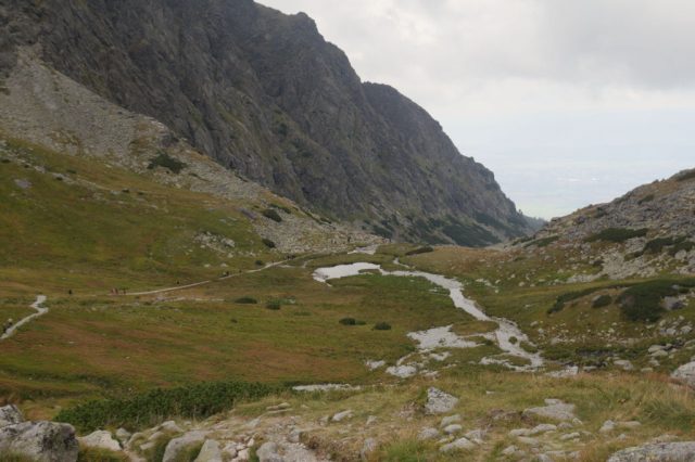 Kvetnicové pliesko - Vysoké Tatry